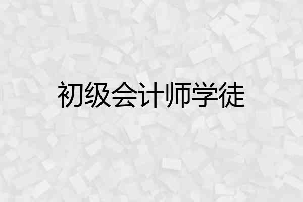初级会计师学徒