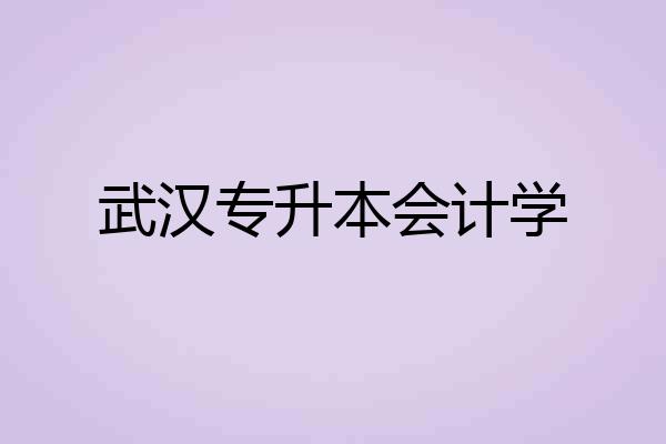 武汉专升本会计学