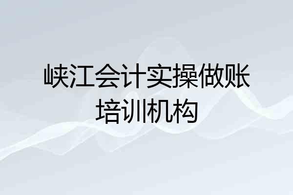 峡江会计实操做账培训机构