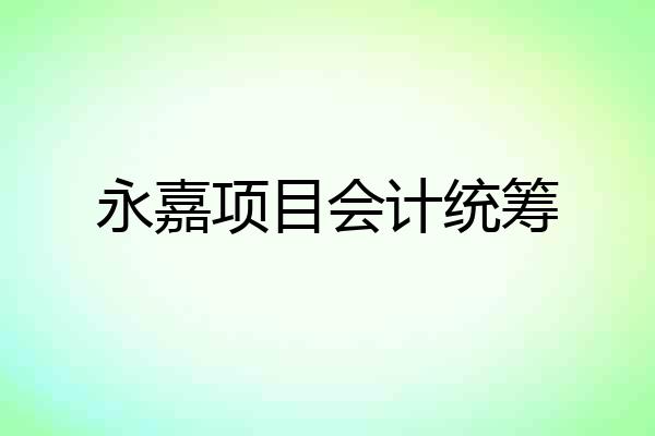 永嘉项目会计统筹