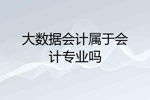 大数据会计属于会计专业吗