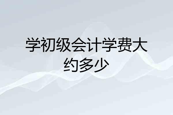 学初级会计学费大约多少