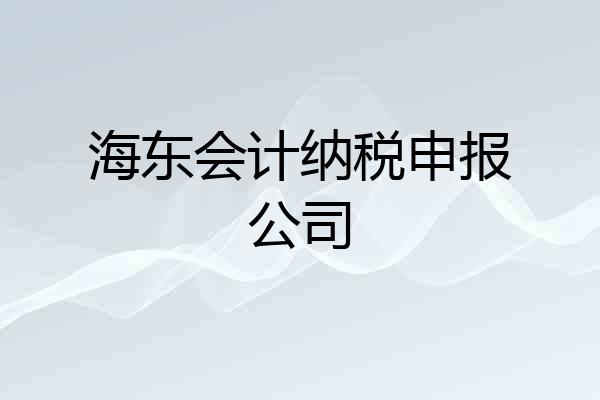 海东会计纳税申报公司