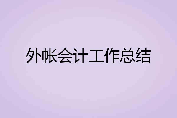外帐会计工作总结
