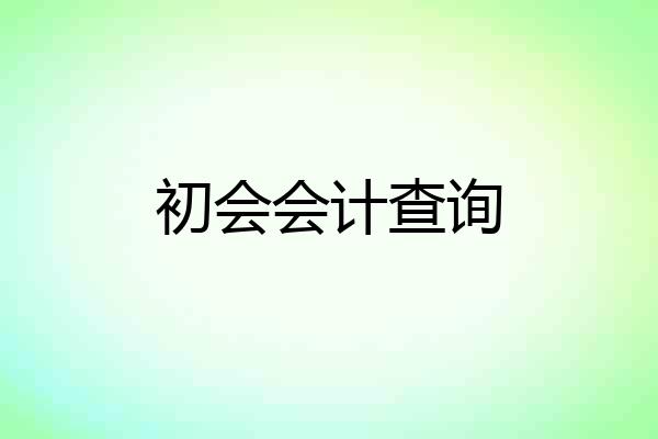 初会会计查询
