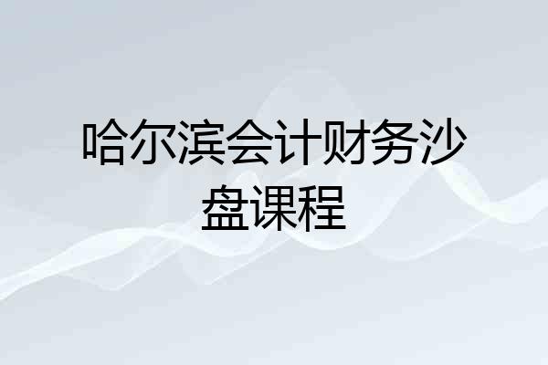 哈尔滨会计财务沙盘课程