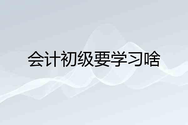 会计初级要学习啥