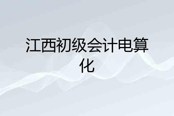 江西初级会计电算化