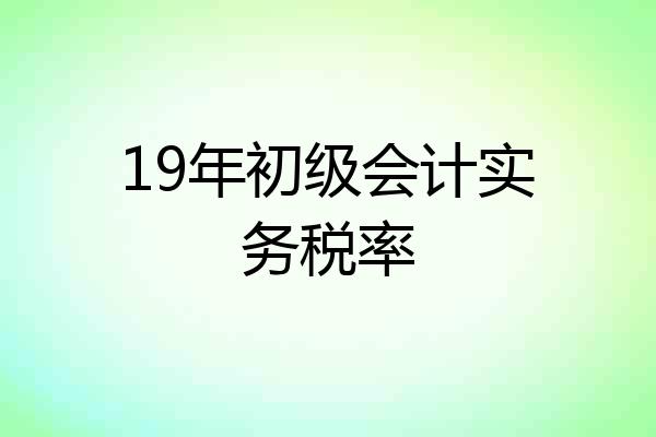19年初级会计实务税率