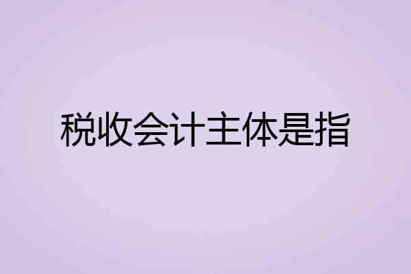 税收会计主体是指