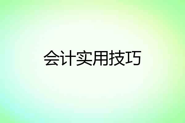 会计实用技巧