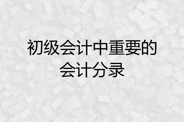 初级会计中重要的会计分录