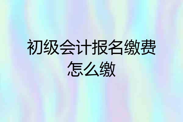 初级会计报名缴费怎么缴