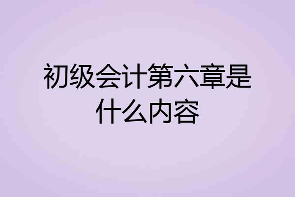 初级会计第六章是什么内容