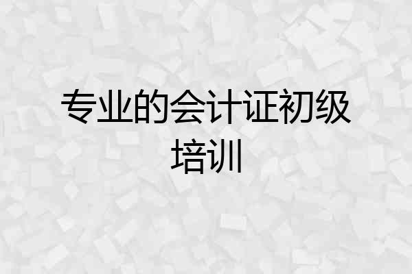 专业的会计证初级培训