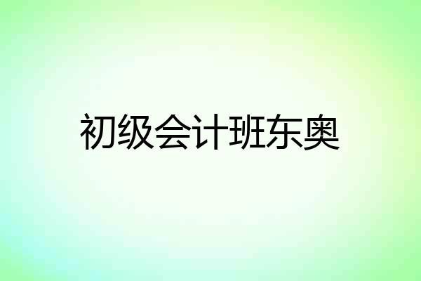 初级会计班东奥
