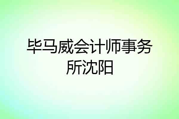 毕马威会计师事务所沈阳