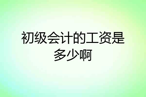 初级会计的工资是多少啊