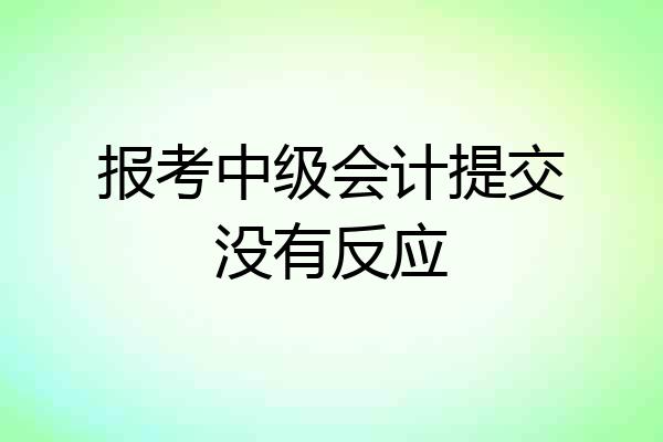 报考中级会计提交没有反应