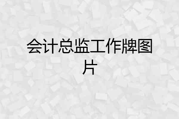 会计总监工作牌图片