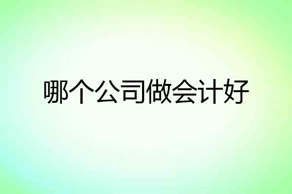 哪个公司做会计好