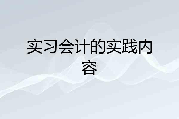 实习会计的实践内容