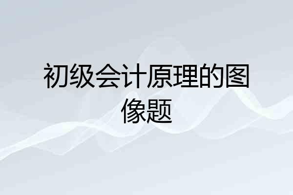 初级会计原理的图像题