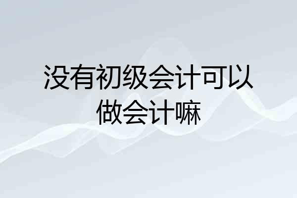 没有初级会计可以做会计嘛
