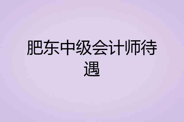 肥东中级会计师待遇