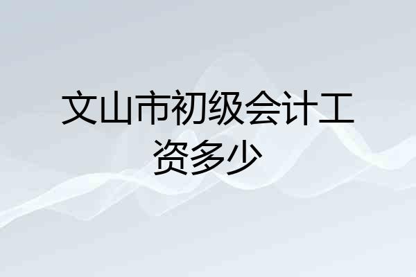 文山市初级会计工资多少