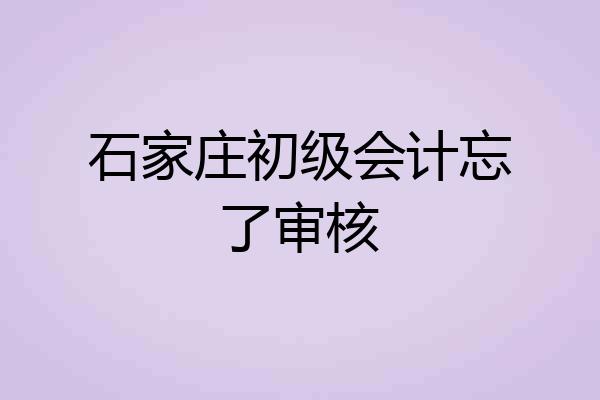 石家庄初级会计忘了审核