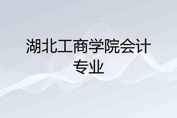 湖北工商学院会计专业