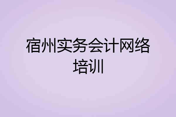 宿州实务会计网络培训
