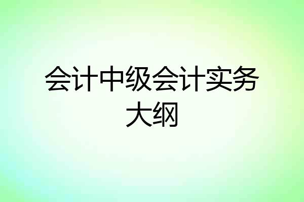 会计中级会计实务大纲