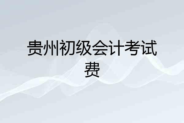 贵州初级会计考试费