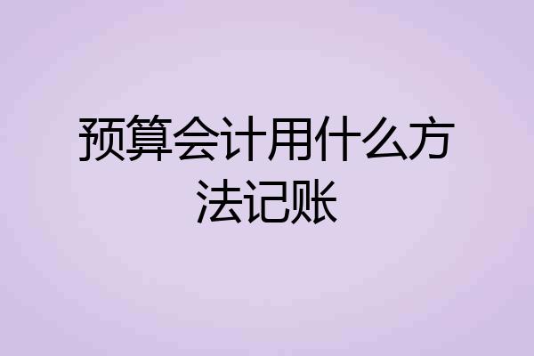 预算会计用什么方法记账