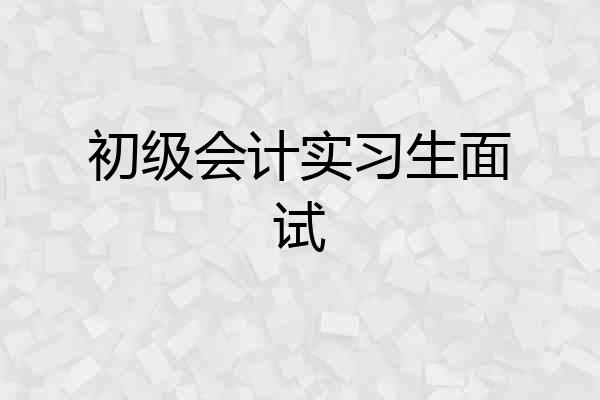 初级会计实习生面试