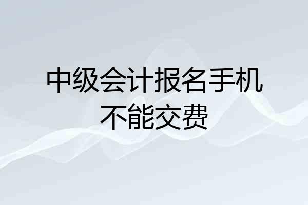 中级会计报名手机不能交费