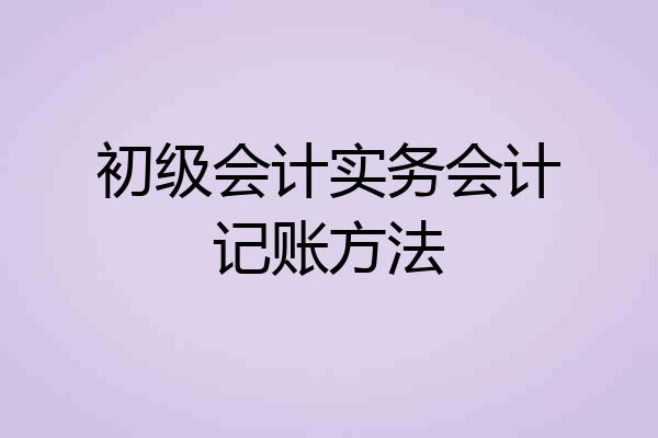 初级会计实务会计记账方法