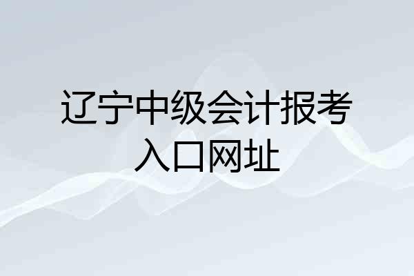 辽宁中级会计报考入口网址
