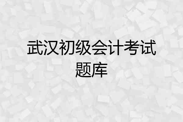 武汉初级会计考试题库
