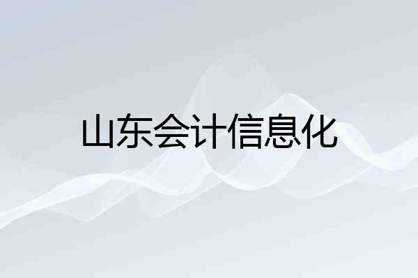 山东会计信息化