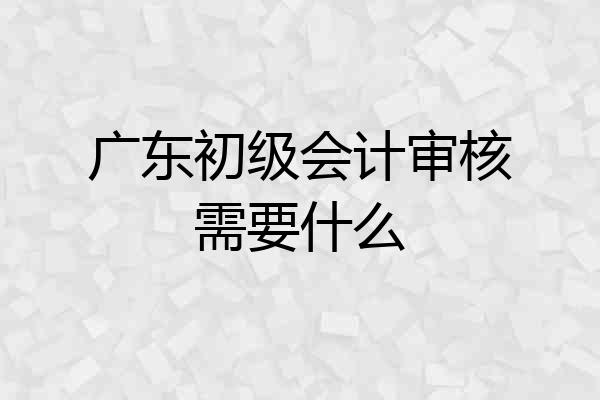 广东初级会计审核需要什么