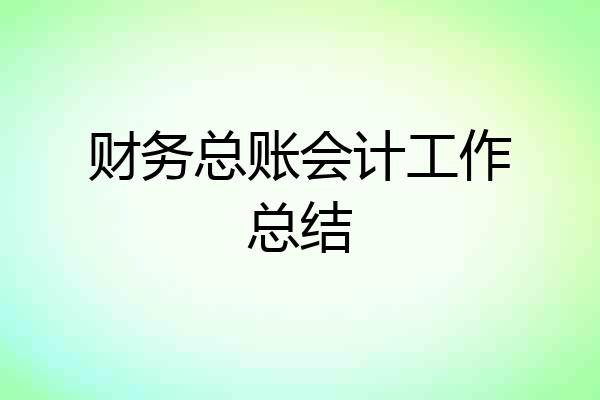 财务总账会计工作总结