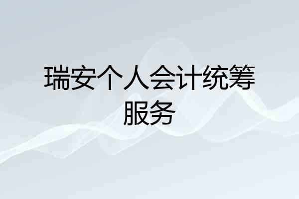 瑞安个人会计统筹服务