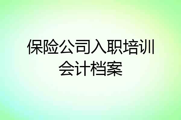 保险公司入职培训会计档案