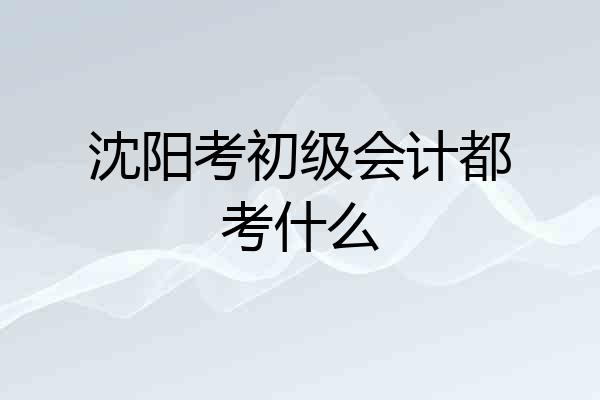 沈阳考初级会计都考什么