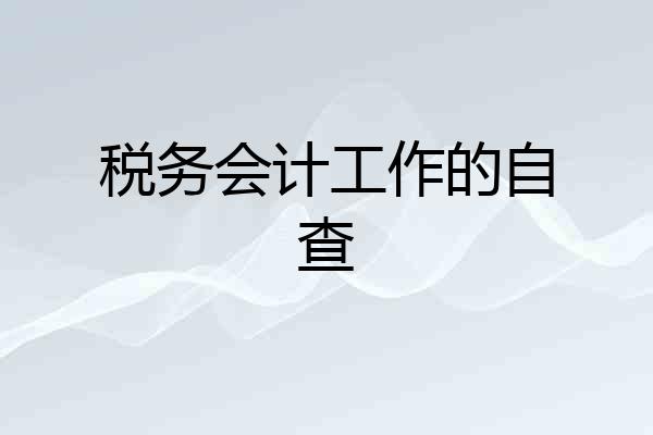 税务会计工作的自查