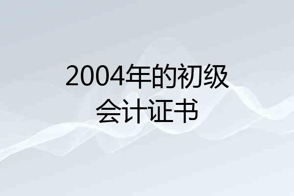 2004年的初级会计证书