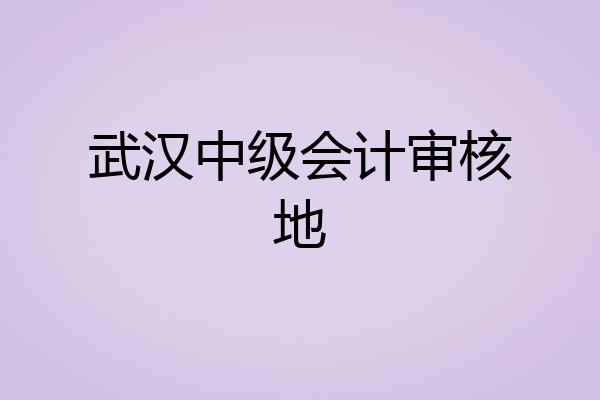 武汉中级会计审核地